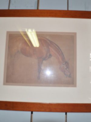 Schilderij met paard SC010, The Barn Antiek